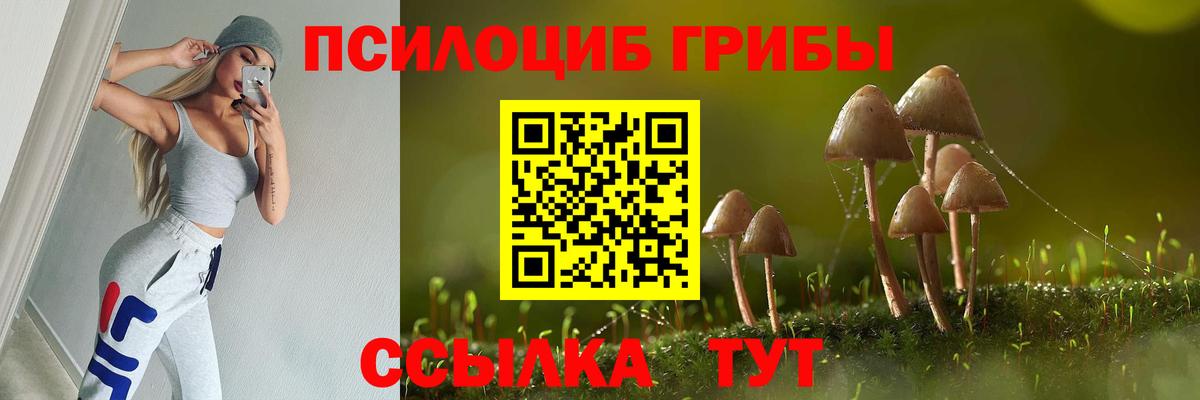 Псилоцибиновые грибы Cubensis Шарыпово
