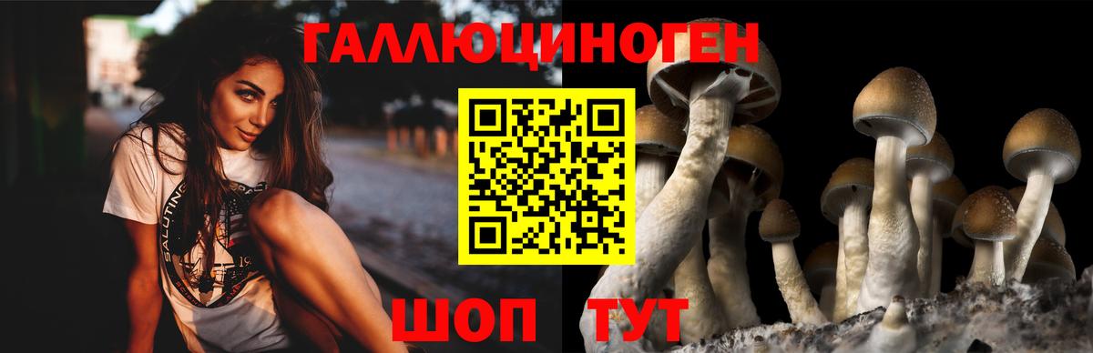 Шарыпово  Псилоцибиновые грибы Magic Shrooms  Вход с VPN  Псилоцибиновые грибы мухоморы 