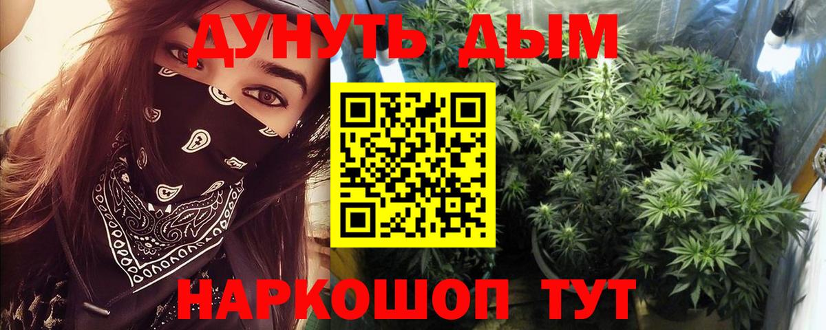 Каннабис план  Шишки марихуана конопля  Вход с VPN  Конопля OG Kush  Шарыпово  МАРИХУАНА конопля 